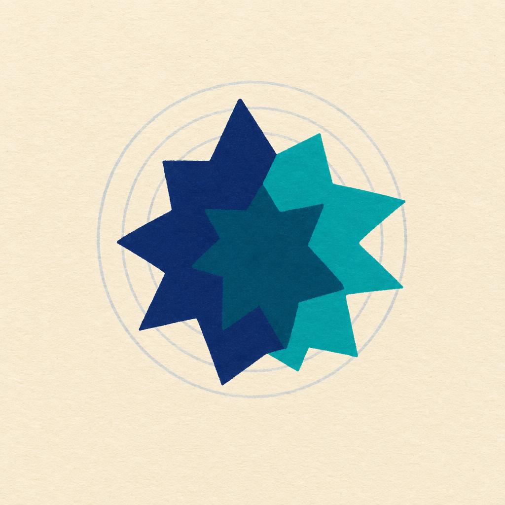 Two many-pointed profile shapes, one navy and one teal, overlaid on the same set of axes so their overlap reads as a darker shape.